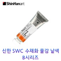 신한 SWC 수채화 물감 낱색 B시리즈 15ml Tubes, 895/TERRE VERTE