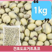 요거트 디저트 초콜릿 1kg 대용량 초코볼 건포도 업소 간식