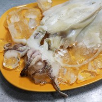승원식품점 [바다의행복] 국내산 반건조 갑오징어 (중) 1팩
