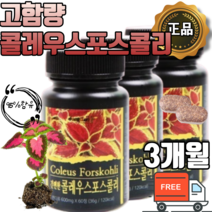 콜레우스 포스콜리 고함량 95% 함유 먹기편한 분말 가루 타블렛 형 폴레우스 포스콜린 1일 2정, 1개월 x 1통