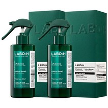 라보에이치 탈모케어 노워시에센스 미스트팩240ml 1+1, 단품