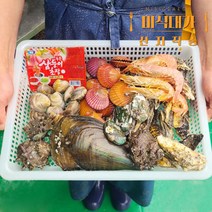 캠핑 모듬 조개 조개구이 조개탕 조개찜 세트 3kg이상, 조개구이 세트 3kg x 2개