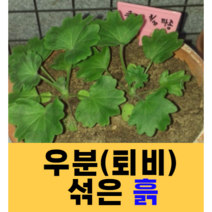 우분 섞은 흙/자연흙/우분흙/분갈이흙/제라늄흙/밭흙/텃밭흙/농사흙/채소흙/이레팜/산내부부흙, 20kg, 1개