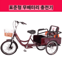 고령자용 세발자전거 전동보조 여객 화물겸용, 누드자동차 스탠다드(무배터리 충전기)