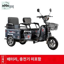 삼륜 노인 전동 오토바이 전동차 전기 스쿠터, 48V/60V 그레이 누드, 48V