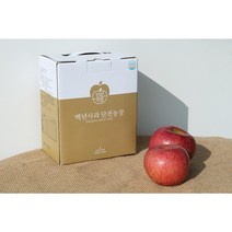 백년사과 단전농장 NFC착즙 GAP 100% 명품 사과즙 3L, 1박스