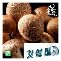 송이향 무농약 신송이버섯 1kg 내외3급