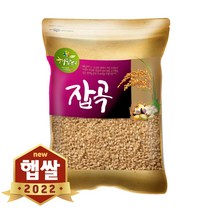 현대농산 2022년 햅쌀 국산 발아현미 5kg, 1개