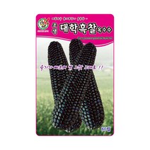 제일 조생대학흑찰옥수수 씨앗 80립