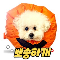 강아지 털말리기 애견 펫 고양이 건조기 드라이자켓, 사진참조, M 건조 상자