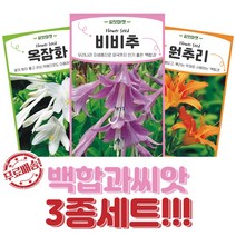 백합과 씨앗 3종세트 옥잠화 비비추 원추리 씨앗 종자