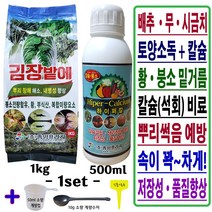 배추 무 시금치 김장채소 밭 토양소독 입제 복합비료 밑거름 웃거름 추비 김장밭에 1kg+김장채소 칼슘제 500ml_1set+계량수저 계량컵 식물이름표 붕사 붕소 텃밭 김장밭비료세트
