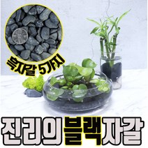 흑자갈 화분 자갈 어항 콩자갈 인테리어 콩 강자갈 정원 조경 자갈돌흑자갈 돌흑자갈, 흑자갈 1호 (1kg)