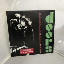 DOORS LP / 엘피 / 음반 / 레코드 / 레트로 / C1038