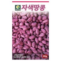 다농 자색땅콩씨앗 20g