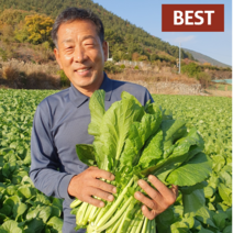생갓 여수돌산갓 청갓 산지직송 5kg 10kg, 여수돌산갓(5kg)
