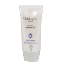 예브랑스페셜 센서티브 선크림 SPF 43 PA++, 3개, 3개