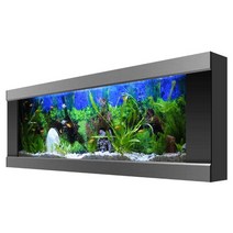 대형 벽걸이어항 수조 거실 2자 수초 사각 베타 구피