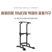 홈엘리트 치닝디핑 턱걸이 운동기구, 1개