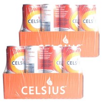 셀시우스 스파클링 오렌지 맛, 354.9ml, 24개입