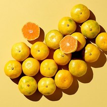 금귤 제주감귤농장 하우스감귤 2.5kg 5kg, 로얄대과 2.5KG