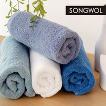 송월타월 항균 프리미엄 무지 170g 수건, 10장, 블루