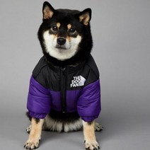 개 팬 럭셔리 디자이너 개 코트 따뜻한 코튼 패딩 개 옷 겨울 Hick 스티치 애완 동물 자켓 Shiba Inu French Bulldog, M, 보라