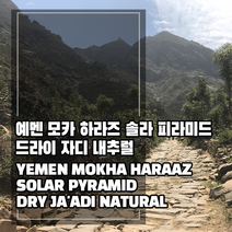 (커피생두) 87 예멘 모카 하라즈 솔라 피라미드 드라이 자디 내추럴 500g