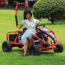 4륜 루지 카트 레이싱 1인용 전기 고카트 전동 드리프트, 1인 오프로드 전기 모델