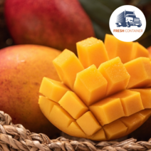 [프리미엄] 페루 애플망고 망고선물세트 2kg 4kg 생 망고, 애플망고 2kg(4과수내외), 1개