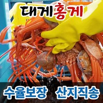 대게 홍게 박달대게 연지홍게 울진 후포리 영덕대게 박달홍게 산지직송 수율보장, 2. 일품대게(찜자숙), 대사이즈, 3마리