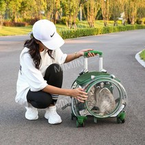 고양이 캐리어 이동장 산책 이동 가방 여행 외출 투명 캡슐, 투명 그린