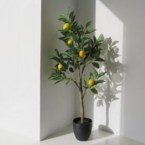 마쉬매리골드 조화 나무 레몬 유주 인테리어 조화나무 국민L사이즈, L사이즈 NA2617868