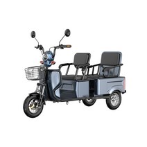 독일 전기 삼륜차 충전식 전동차 스쿠터 3륜 전동 소형 삼발이 바이크, 48V, C