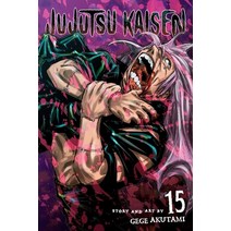 (영문도서) Jujutsu Kaisen Vol. 15: Volume 15 Paperback, Viz Media, English, 9781974727100