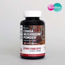 썬앤트리 캐나다 차가버섯 분말 10배추출물 항공직수입 100g, 1개