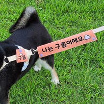 댕냥라이프 대형견 중형견 강아지 리드줄 산책 네임택 반려견 인식표 (주문제작), 레몬