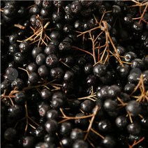 국내산 아로니아 생과 5kg