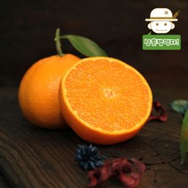 귤의 고향 제주에서 온 제철 천혜향(대과) 2.5kg, 단품