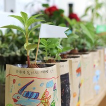 씨드볼 그림봉투화분 유치원 식목일 씨앗 키우기 키트, 2. 방울토마토