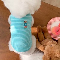 환견복 반려동물중성화 고양이수술복 강아지수술복, S백 길이 25cm 캐티 3 4마리 추천, L.푸른 곰