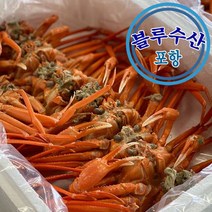 홍게 파지 10마리 포항 시세, 1box