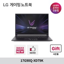 LG전자 울트라기어 게이밍노트북 17G90Q-XD79K, WIN11 Home, 블랙, 512GB, 코어i7, 64GB