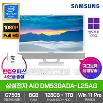 삼성전자 올인원PC DM530ADA-L25AG WIN11 PRO/펜티엄골드/G7505/RAM 8GB/NVMe 128GB/HDD 1TB/사무용/업무용/학생용/일체형/컴퓨터/PC