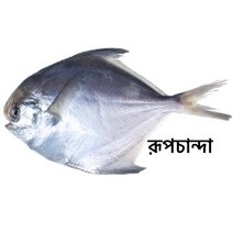 S. N. FOOD Frozen White Pomfret(Rupchanda) 1kg (250g~300g) 냉동 병어 미얀마, 1p