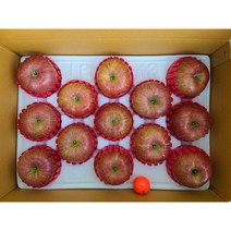 청정 고냉지 정선임계 사과 5Kg, 꼬꼬마(5키로)