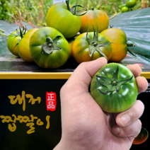 [농협인증 정품] 오리지널 부산 대저토마토 짭짤이 S 2S 3S 로얄과 1kg 2.5kg 산지직송, 1-0) 대저 짭짤이 600g (특로얄과 3S-2S)