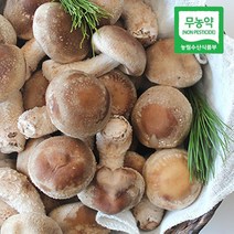 착한송이 영양 무농약 송이버섯 표고버섯이 만난 500g, 상품 500g