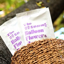 나주배꽃푸드 1등급 나주배 NFC 착즙 The 맑은 도라지배즙 프리미엄 120ml 60포+7팩 서비스, 120ml x 60포 / 1박스