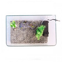 고운물 까꿍 거북이 수조 세트 소 35cm, 1세트